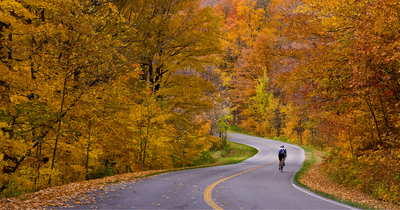 Why Autumn is one of the best times to Cycle!